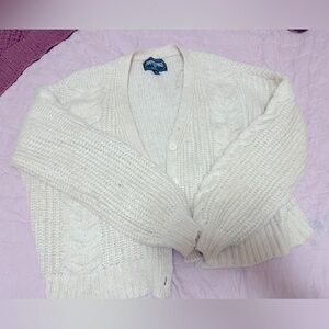 American Eagle Cardigan